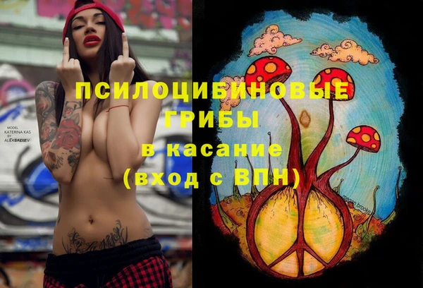 прущие грибы Козловка
