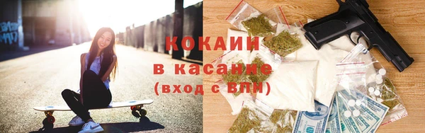 прущие грибы Козловка