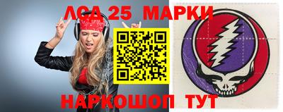 гидра Моздок