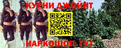 apvp Можга