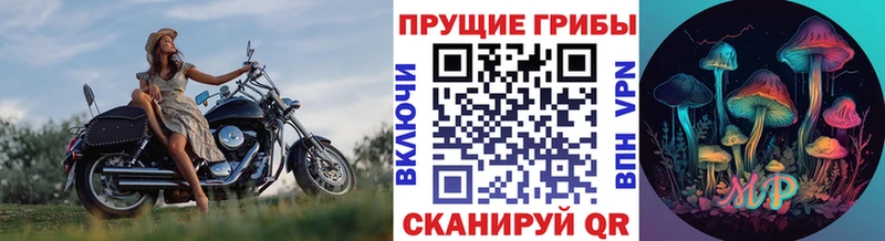 Галлюциногенные грибы мицелий  Пушкино 