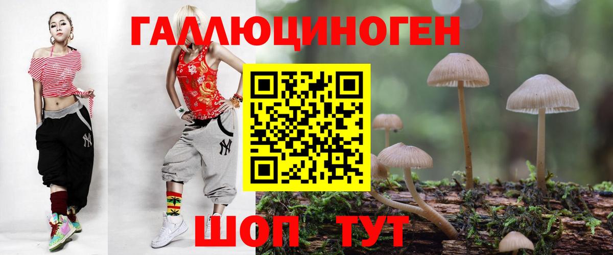 Пушкино  Галлюциногенные грибы Psilocybine cubensis  Вход с VPN 
