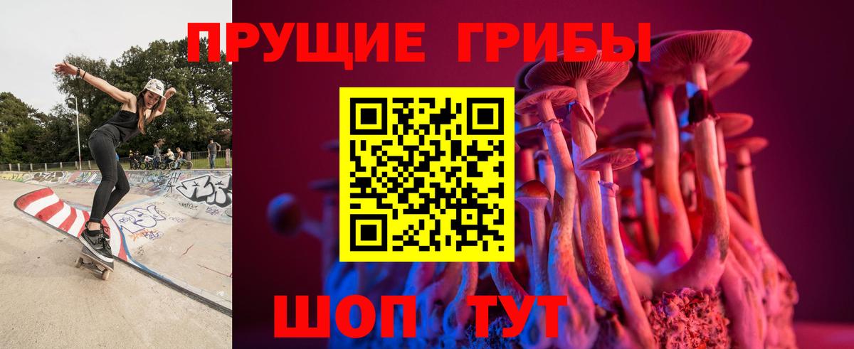 Псилоцибиновые грибы MAGIC MUSHROOMS Пушкино