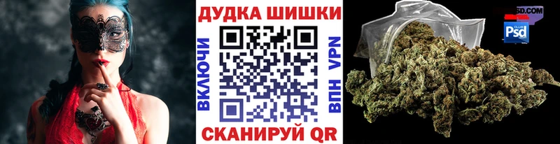 Бошки Шишки семена  где купить наркотик  Пушкино 